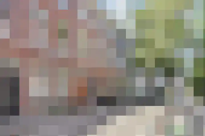 Bazarlaan 54 Den Haag thumbnail 37