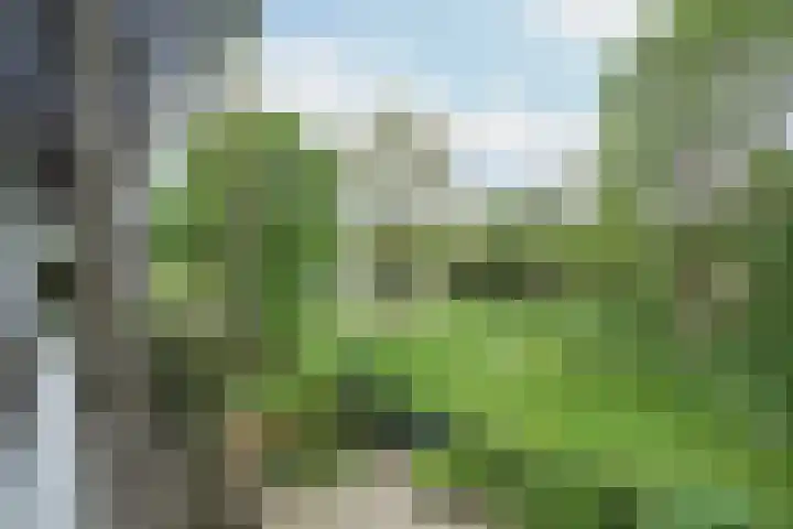 Bazeldijk 11 Rotterdam thumbnail 36
