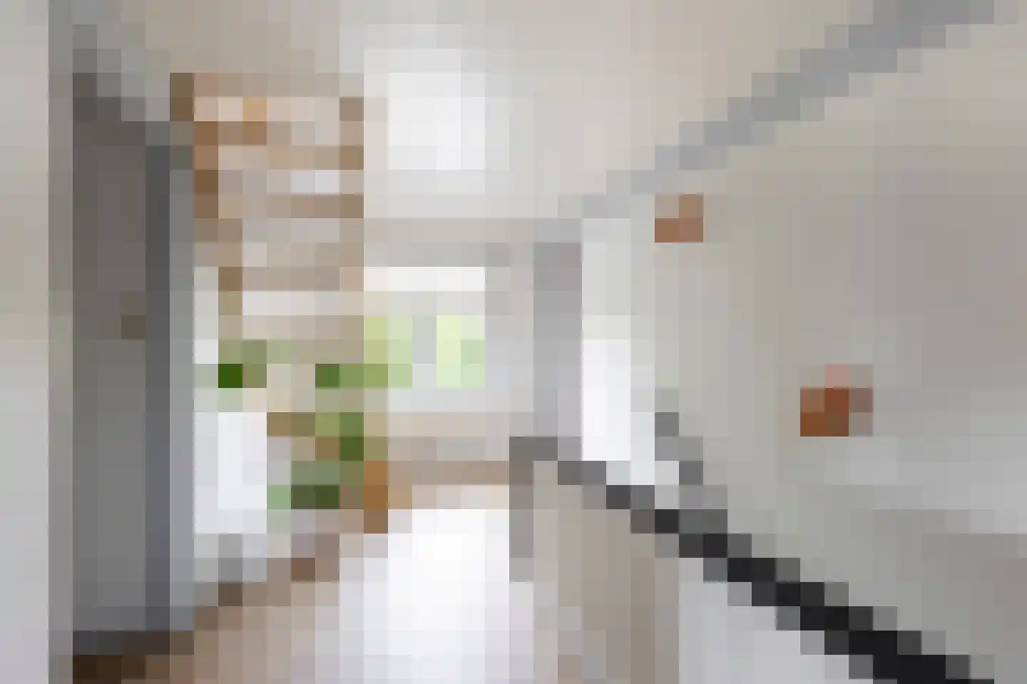 Bazeldijk 12 Meerkerk thumbnail 30