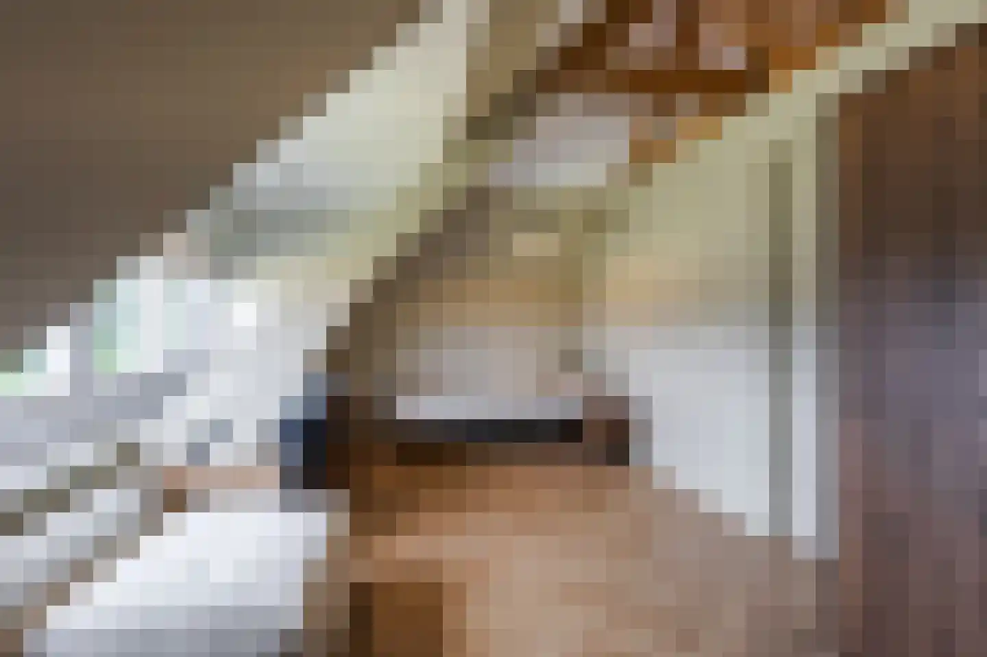 Bazeldijk 12 Meerkerk thumbnail 51