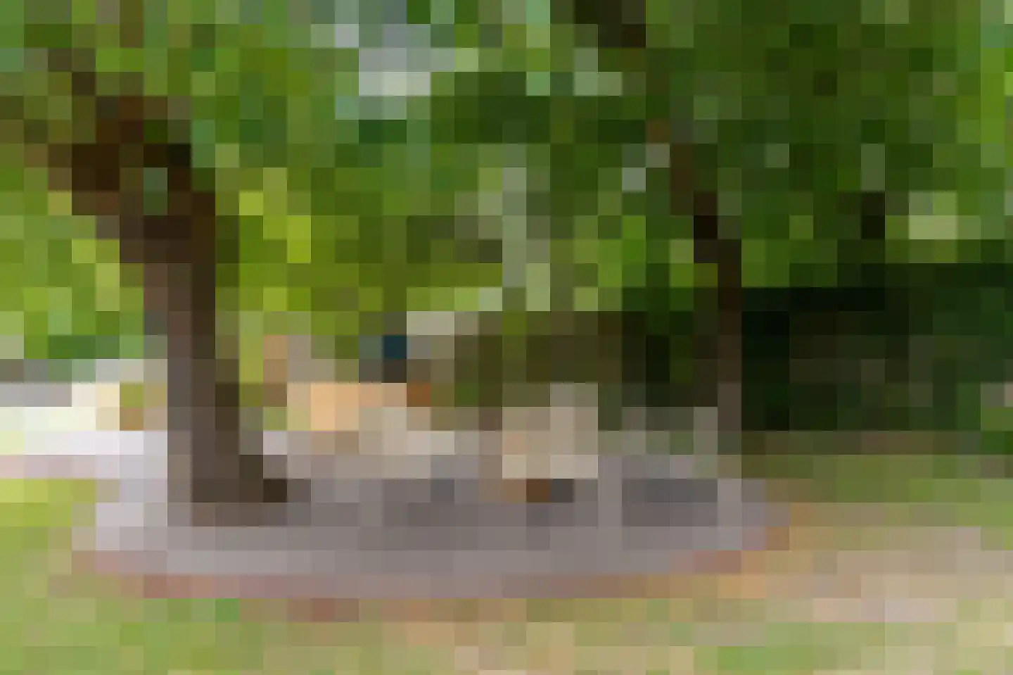Bazeldijk 12 Meerkerk thumbnail 64
