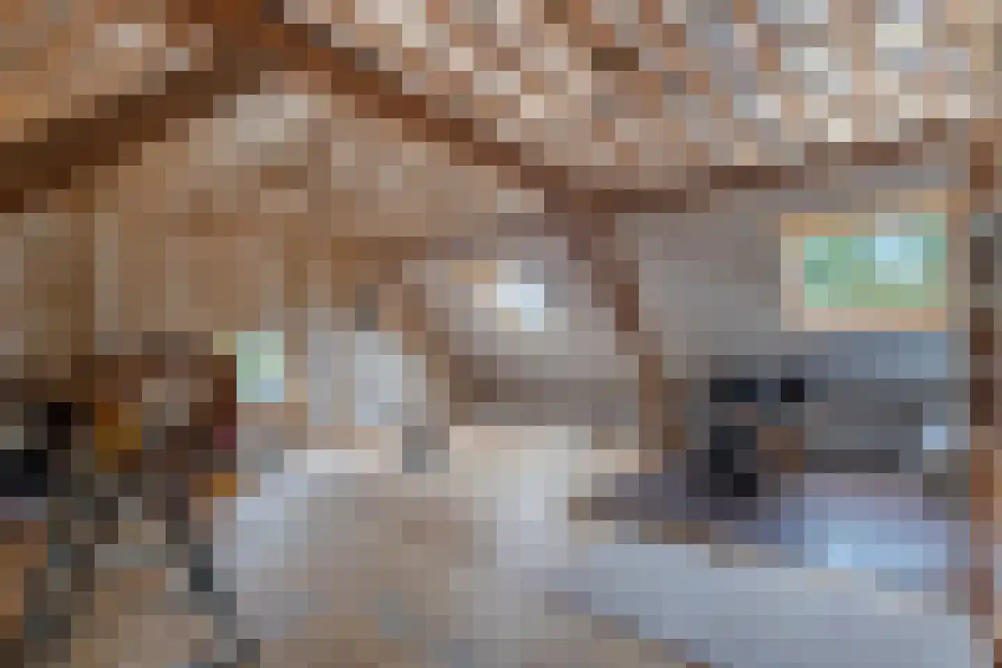 Bazeldijk 20 Hoogblokland thumbnail 27