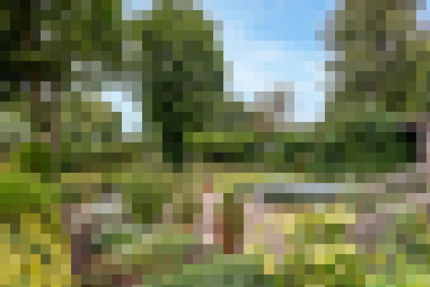 Bazeldijk 20 Hoogblokland thumbnail 30