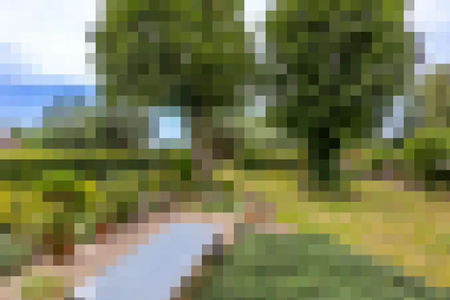 Bazeldijk 20 Hoogblokland thumbnail 34