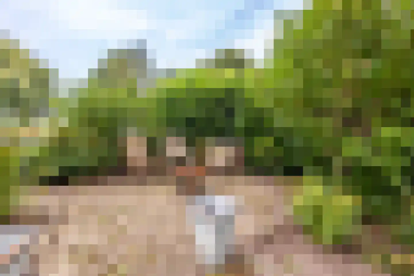 Bazeldijk 20 Hoogblokland thumbnail 35