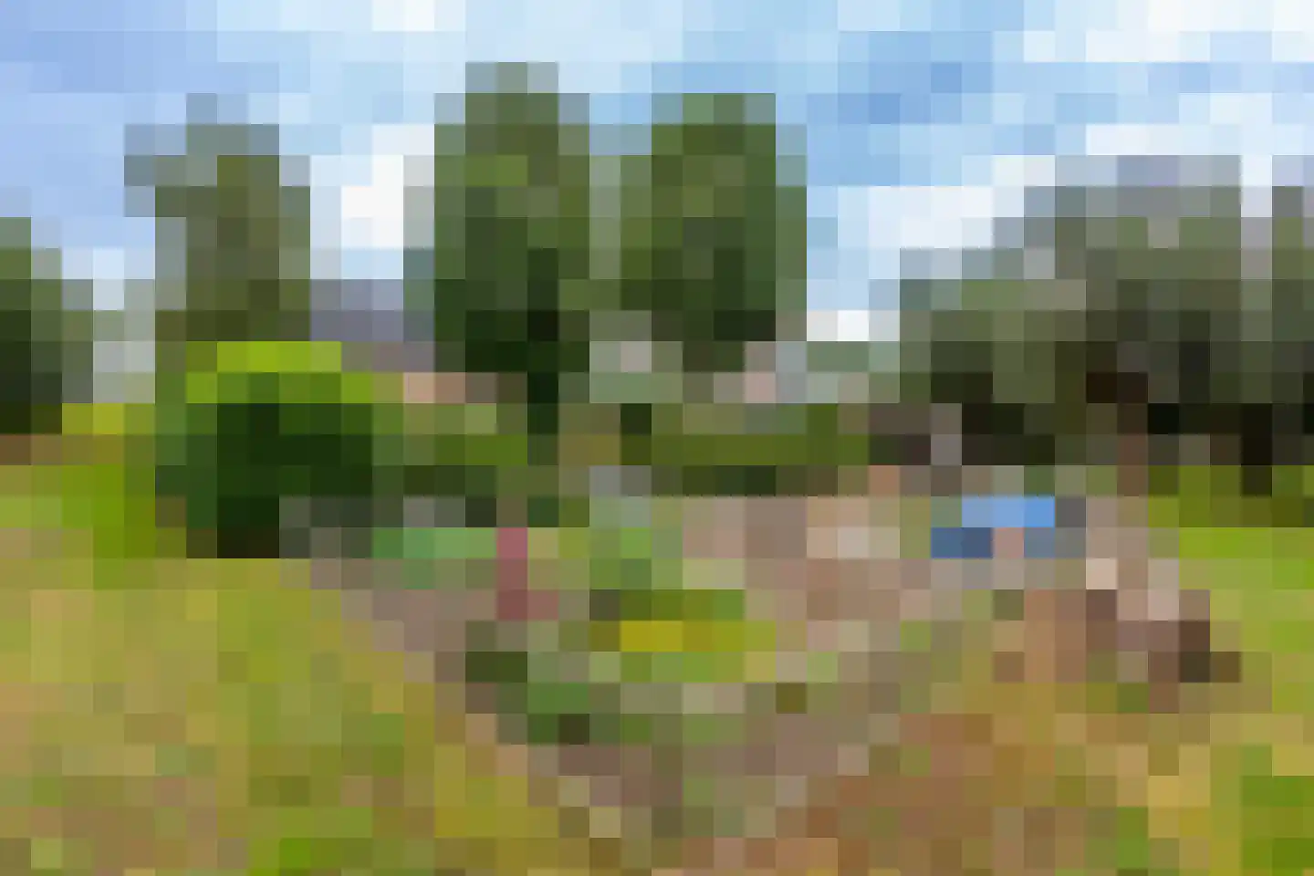 Bazeldijk 20 Hoogblokland thumbnail 36