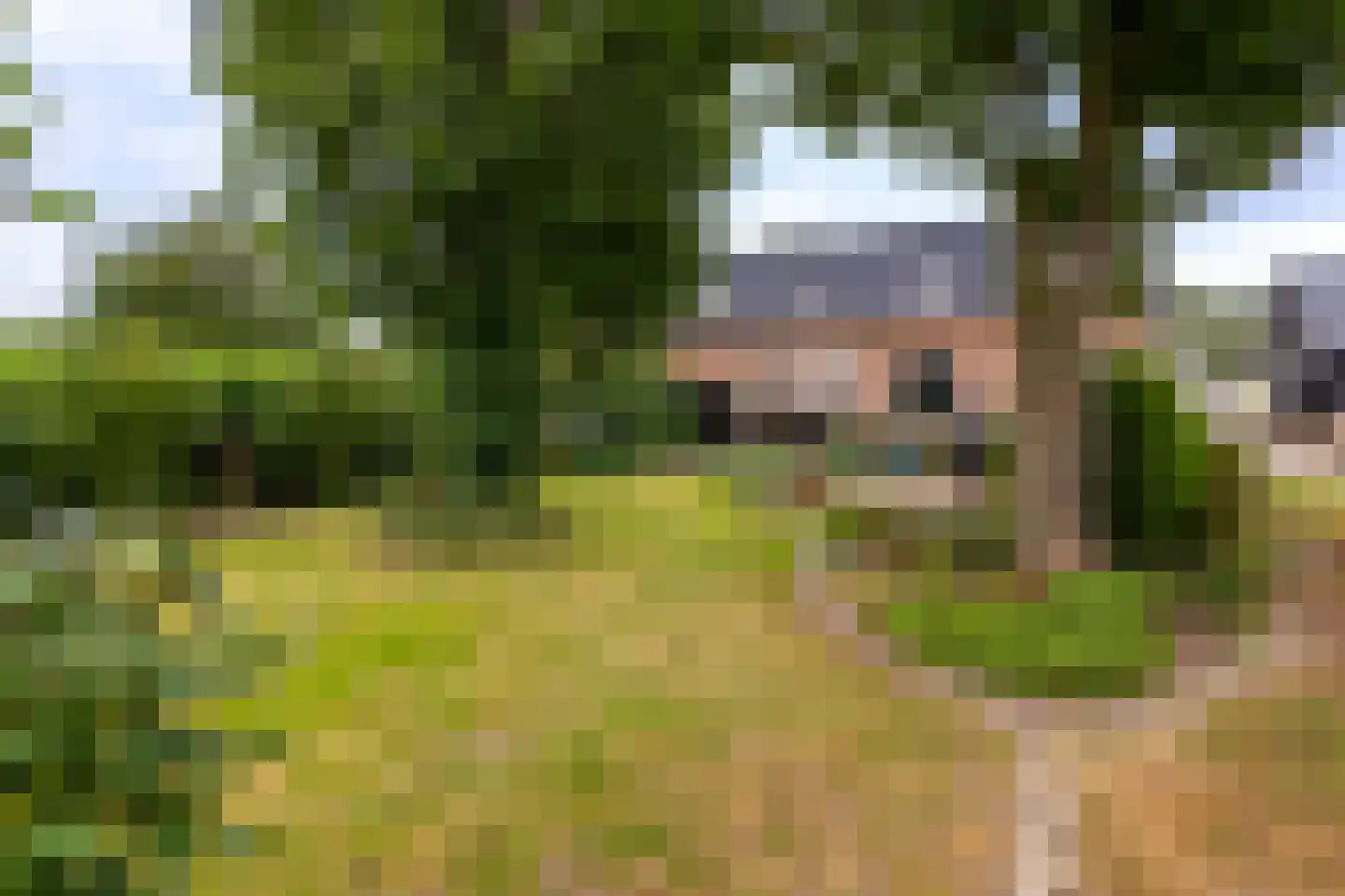 Bazeldijk 20 Hoogblokland thumbnail 37