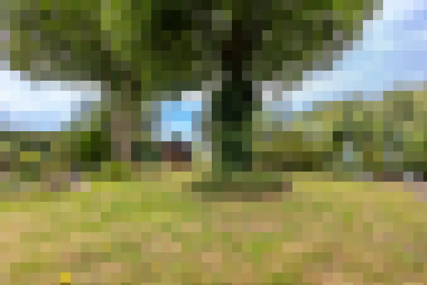 Bazeldijk 20 Hoogblokland thumbnail 38