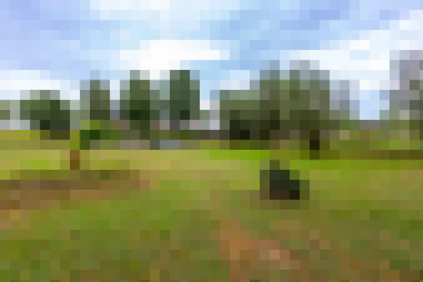 Bazeldijk 20 Hoogblokland thumbnail 39