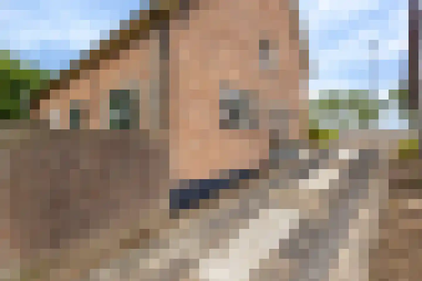 Bazeldijk 20 Hoogblokland thumbnail 41