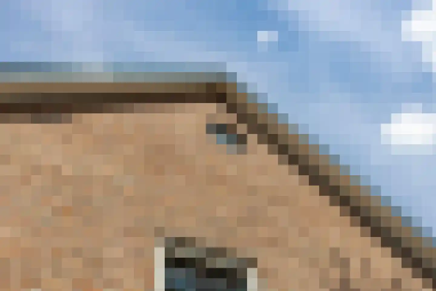 Bazeldijk 20 Hoogblokland thumbnail 43