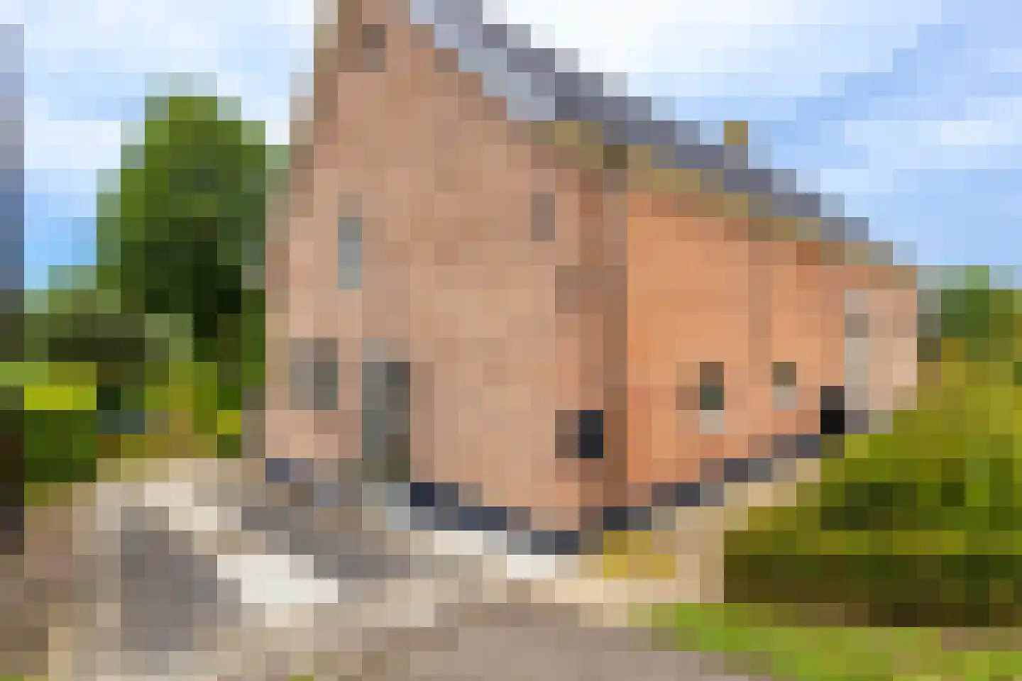 Bazeldijk 20 Hoogblokland thumbnail 44