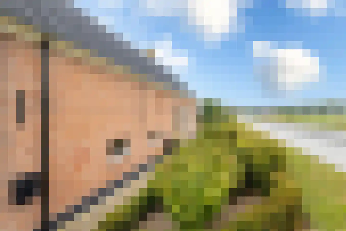 Bazeldijk 20 Hoogblokland thumbnail 47