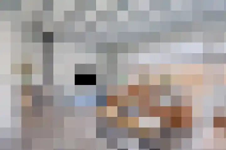 Bazeldijk 32 Meerkerk thumbnail 24