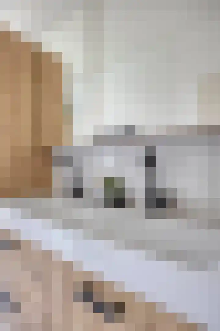 Bazeldijk 32 Meerkerk thumbnail 36