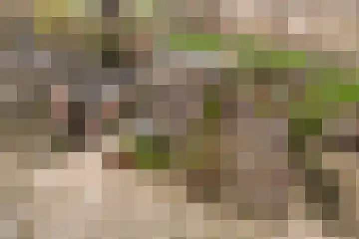Bazeldijk 32 Meerkerk thumbnail 4