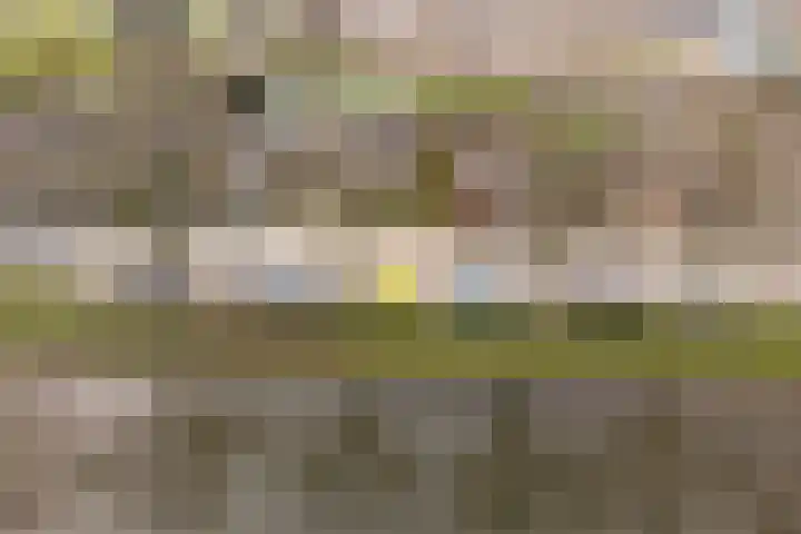 Bazeldijk 32 Meerkerk thumbnail 5