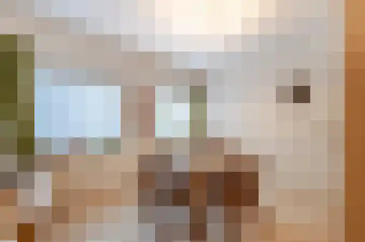 Bazeldijk 34 Meerkerk thumbnail 12