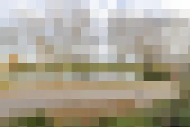 Bazeldijk 34 Meerkerk thumbnail 20