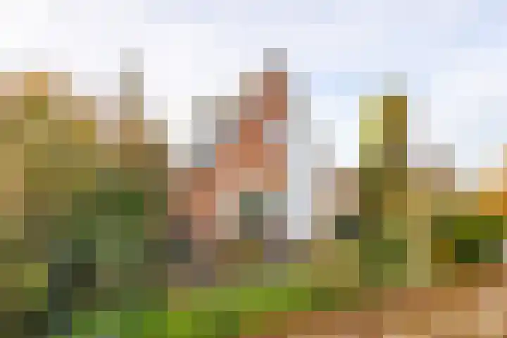 Bazeldijk 34 Meerkerk thumbnail 31