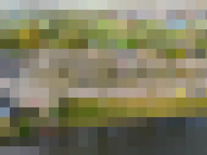 Bazeldijk 34 Meerkerk thumbnail 35