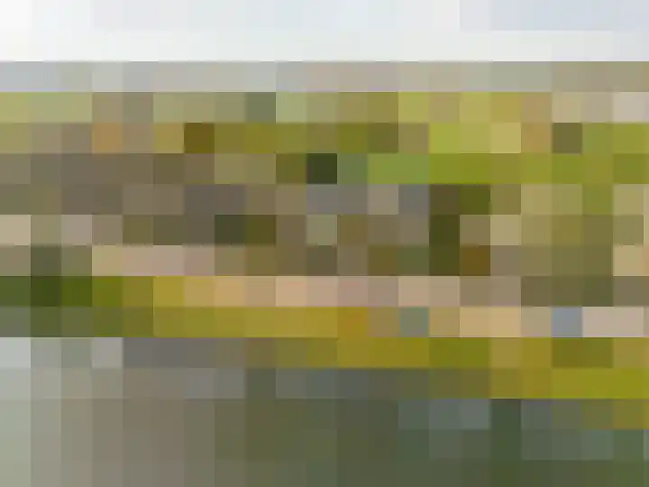 Bazeldijk 34 Meerkerk thumbnail 36