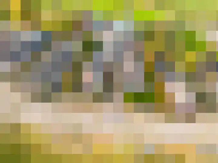 Bazeldijk 34 Meerkerk thumbnail 40