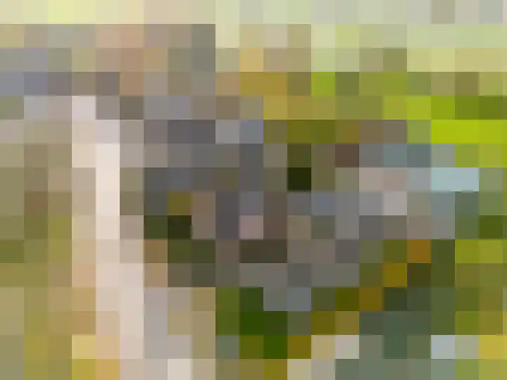 Bazeldijk 34 Meerkerk thumbnail 42
