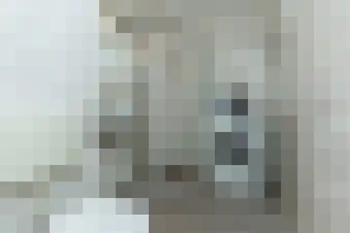 Bazeldijk 4 Rotterdam thumbnail 13