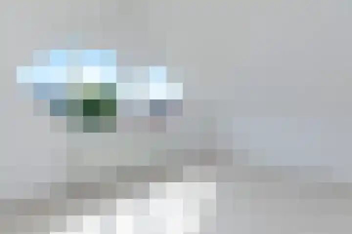 Bazeldijk 4 Rotterdam thumbnail 20