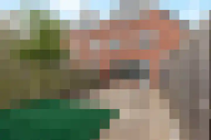 Bazeldijk 4 Rotterdam thumbnail 5