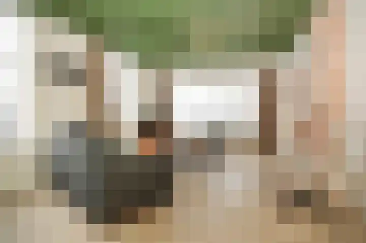 Bazeldijk 40 Hoogblokland thumbnail 13