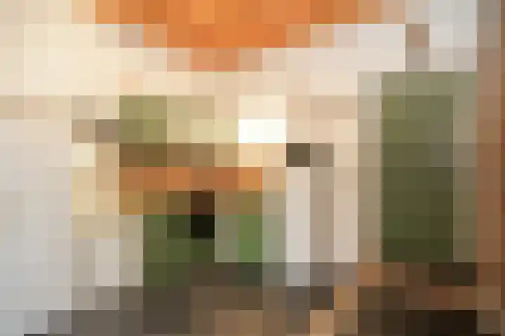 Bazeldijk 40 Hoogblokland thumbnail 26