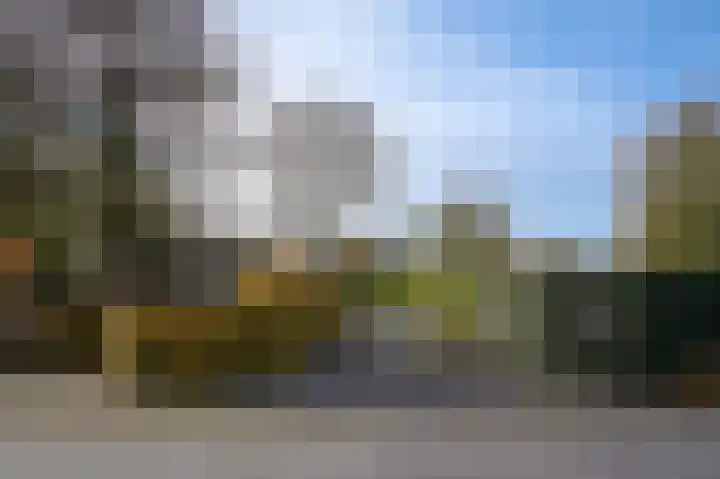 Bazeldijk 40 Hoogblokland thumbnail 4