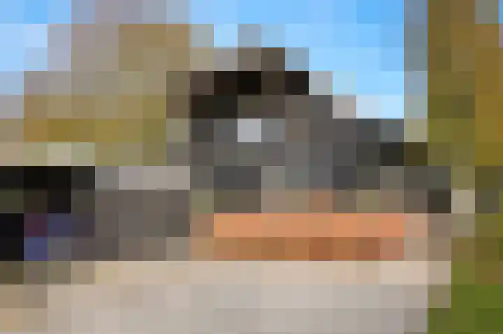 Bazeldijk 40 Hoogblokland thumbnail 52