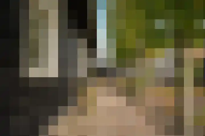 Bazeldijk 40 Hoogblokland thumbnail 54