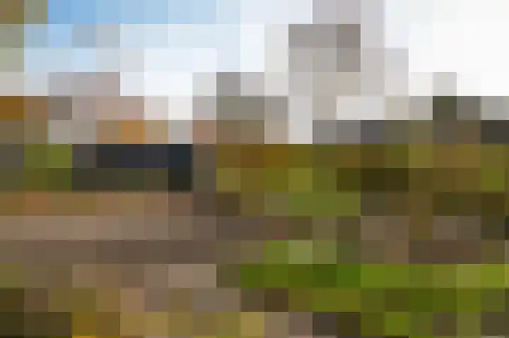 Bazeldijk 40 Hoogblokland thumbnail 55