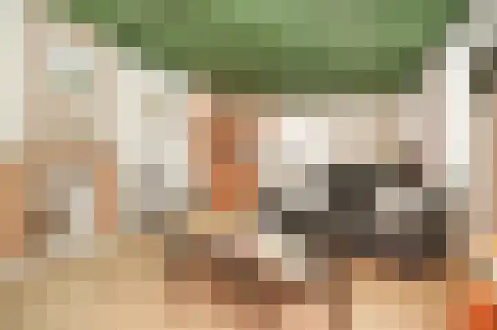 Bazeldijk 40 Hoogblokland thumbnail 6