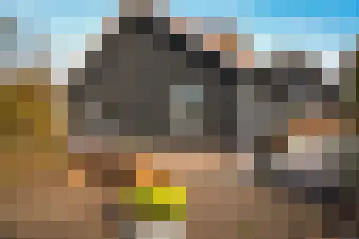Bazeldijk 40 Hoogblokland thumbnail 69