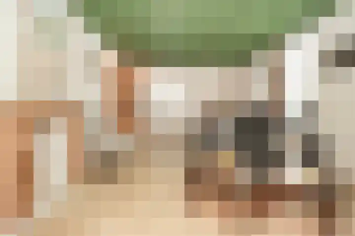 Bazeldijk 40 Hoogblokland thumbnail 7