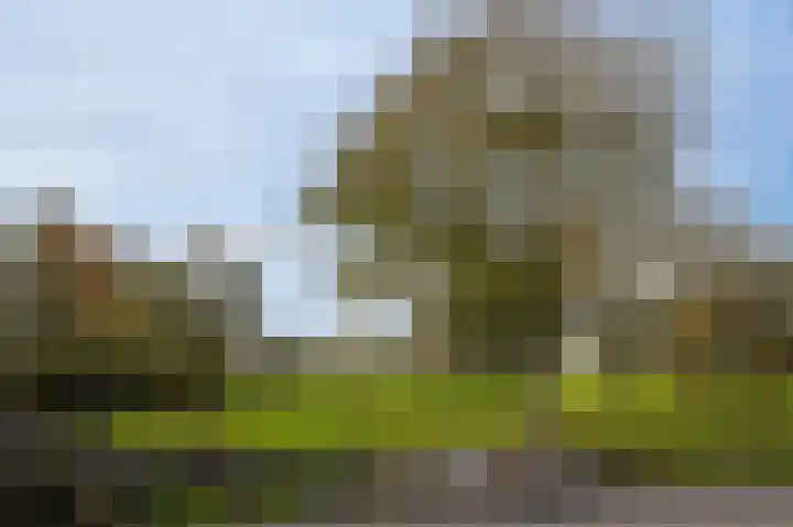 Bazeldijk 40 Hoogblokland thumbnail 71