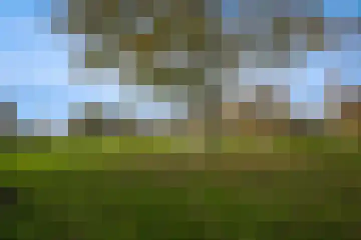 Bazeldijk 40 Hoogblokland thumbnail 72