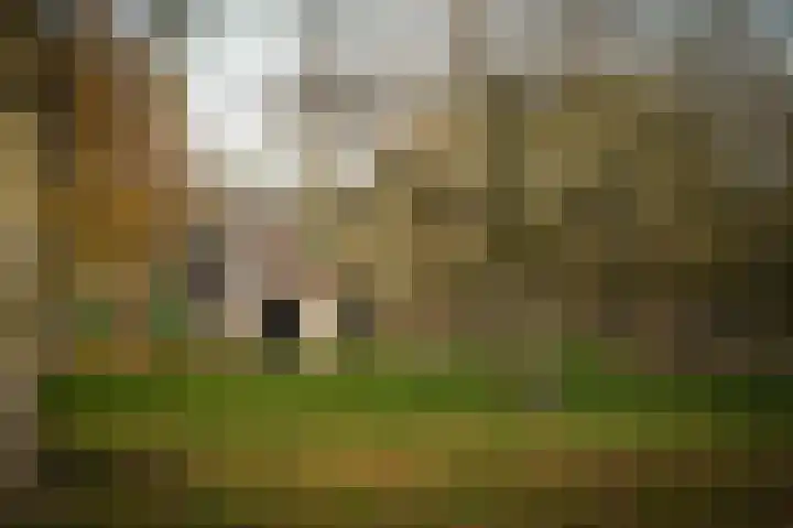 Bazeldijk 40 Hoogblokland thumbnail 77