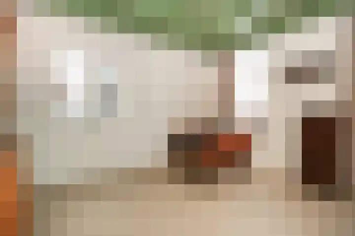 Bazeldijk 40 Hoogblokland thumbnail 9