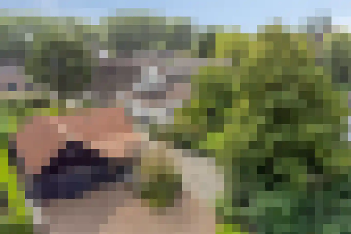 Bazeldijk 44 Meerkerk thumbnail 10