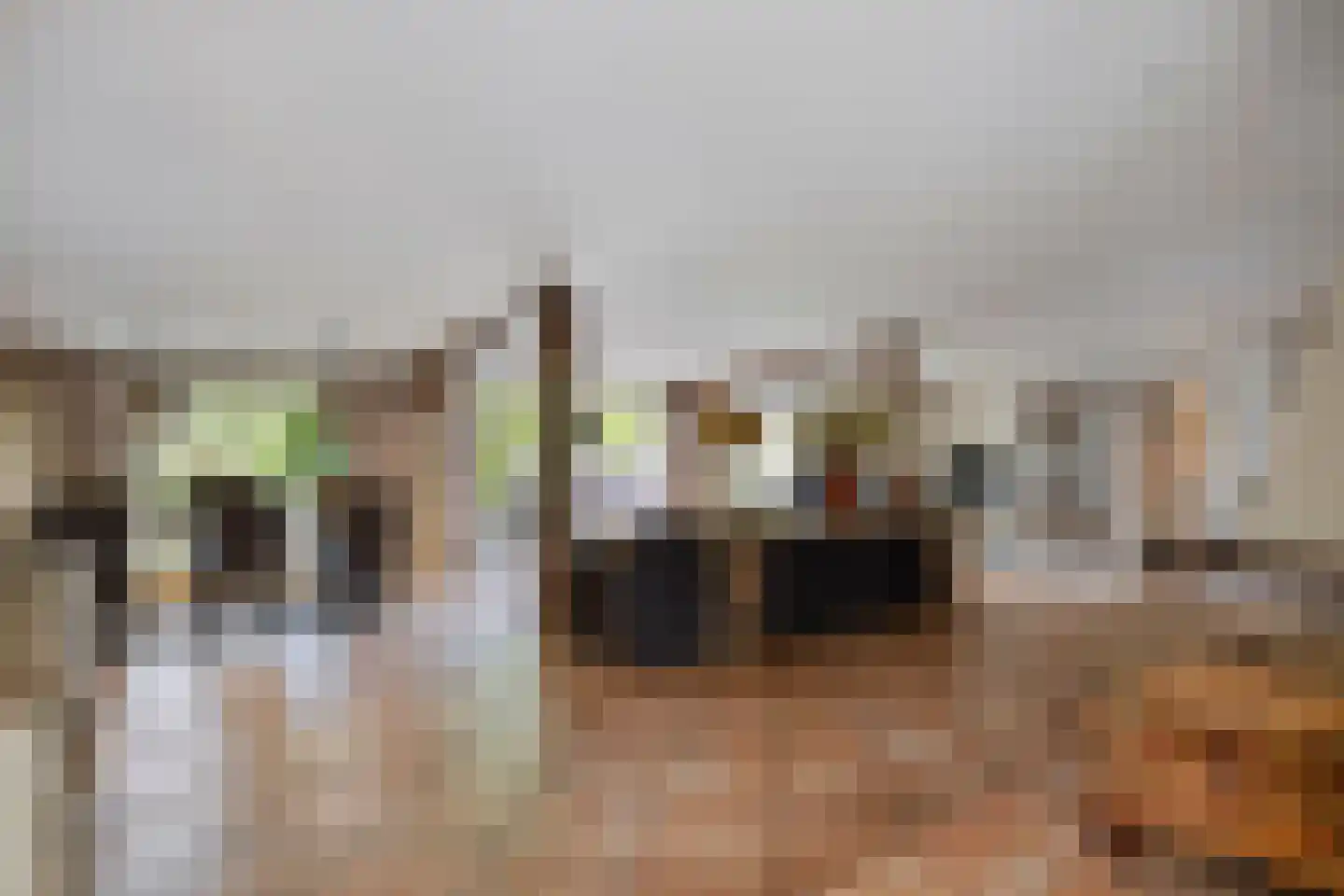 Bazeldijk 44 Meerkerk thumbnail 19