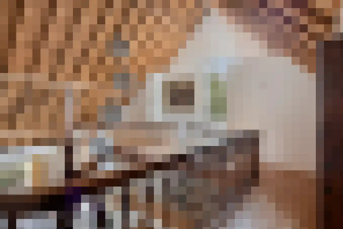 Bazeldijk 44 Meerkerk thumbnail 38