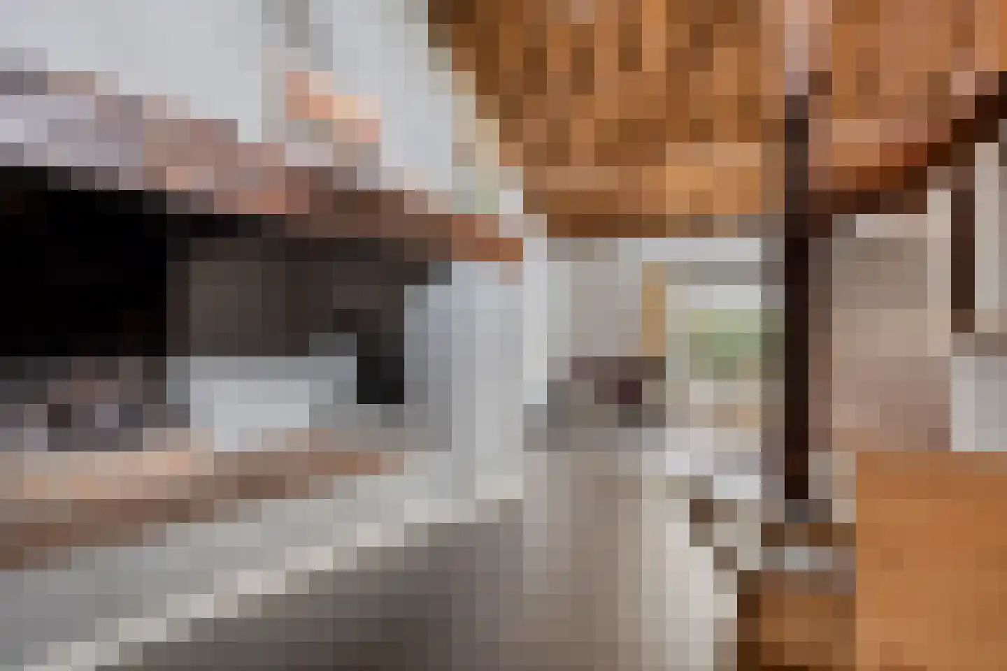 Bazeldijk 44 Meerkerk thumbnail 40
