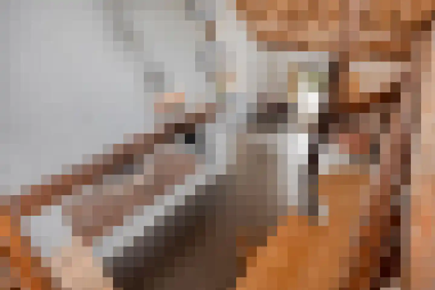 Bazeldijk 44 Meerkerk thumbnail 42