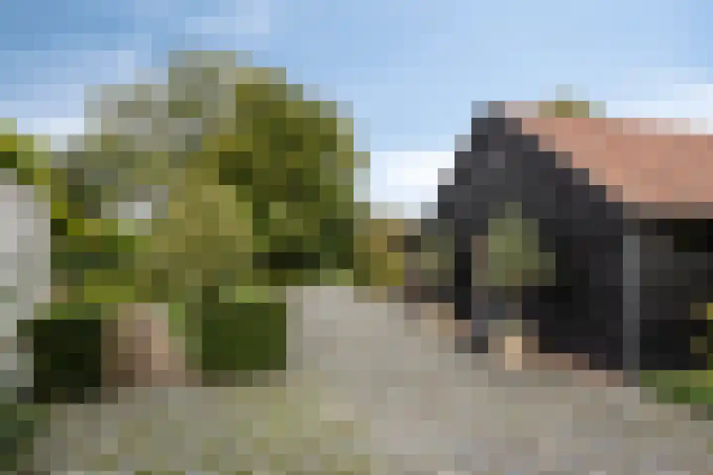 Bazeldijk 44 Meerkerk thumbnail 49